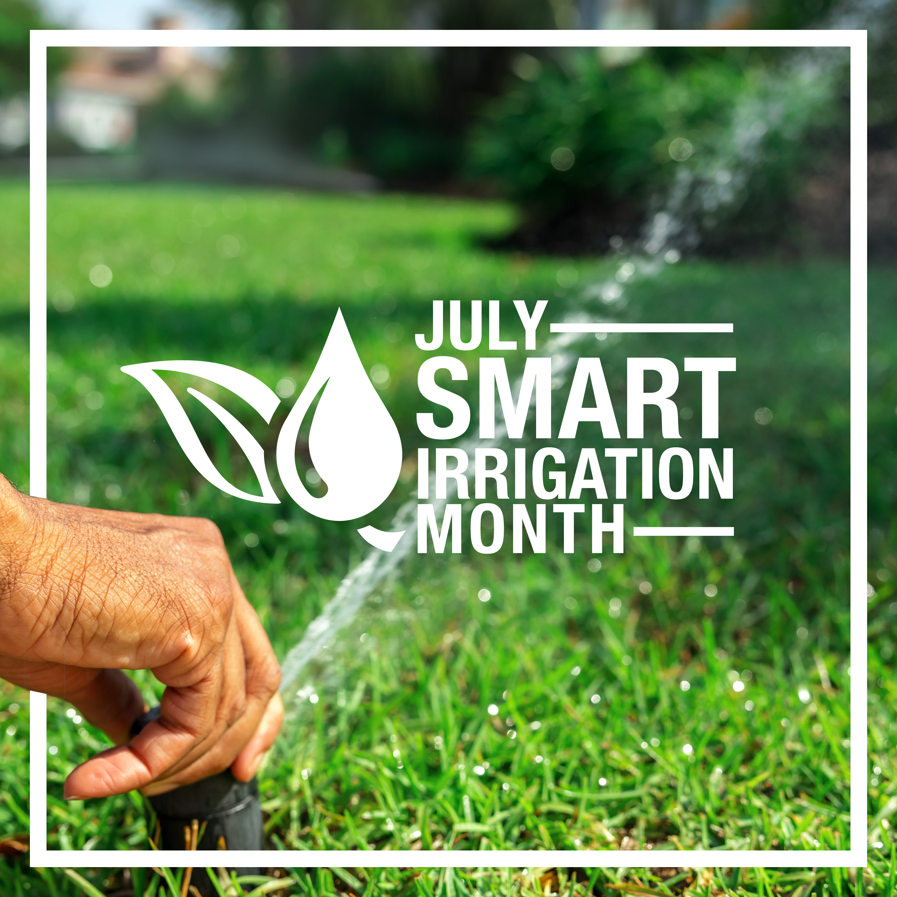 Smart irrigation month